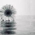 Ji-yoo13