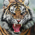 Tigerjerem