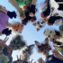 Griffedeplume
