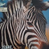 Loupia20