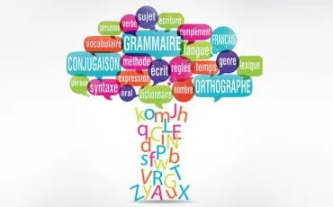 Thumbnail Vocabulaire