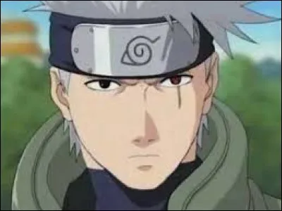 How many nature types can Kakashi use?