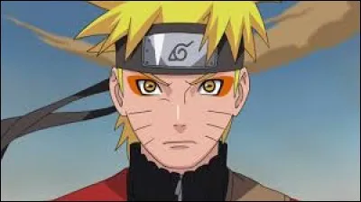 On which Shinobi did Naruto use the 1000 fingers of death?