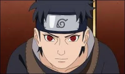 What does Shishi Renden mean?