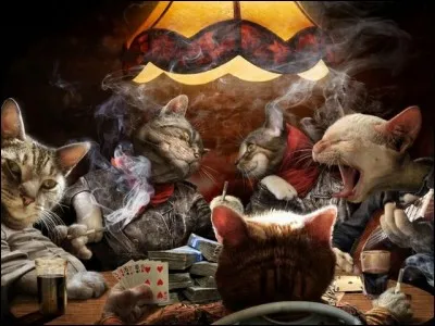 What is 'shoe' in the baccarat game?