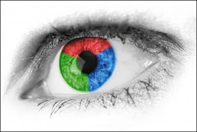 What's your favorite colours out of these?