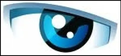 Which of these men has never presented Secret Story?