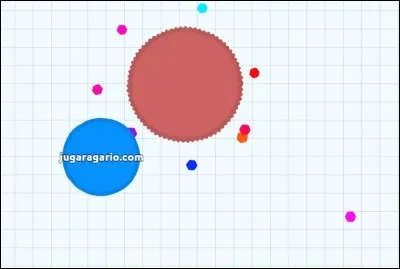 What is a brown virus?