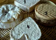 Quiz « Au bon P'tit Fromager »
