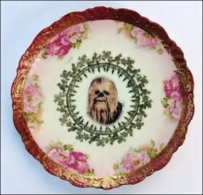 What is the name of the wookie in the center of the plate?