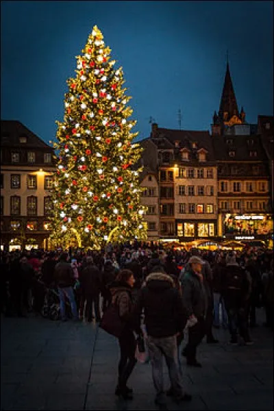 We really can't wait! We decide to make the tree. What do we decorate it with?