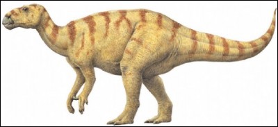Who have discovered the first dinosaur ?