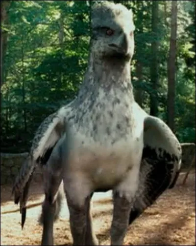 What is Buckbeak's alias after his thwarted execution in Harry Potter and the Prisoner of Azkaban?