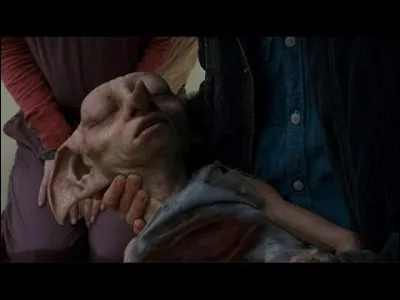 When Dobby died in "Harry Potter and the Deathly Hallows," you :