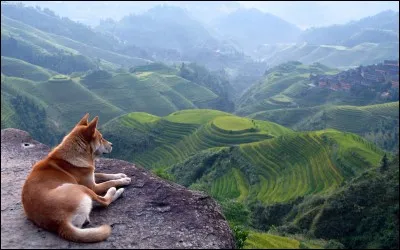 You like to spend most of your time :