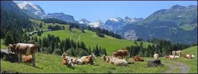 Which of these insurances is not every inhabitant obliged to have?