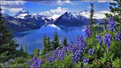 Which is the only officially trilingual canton?