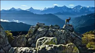 What is the most popular religion in Switzerland?