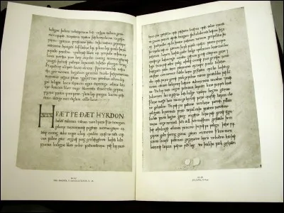 The Exeter Book : 

"I have heard of a something-or-other, growing in its nook, swelling and rising, pushing up its covering. Upon that boneless thing a cocky-minded young woman took a grip with her hands; with her apron a lord's daughter covered the tumescent thing"