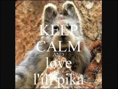 What year was the "magic rabbit" discovered?