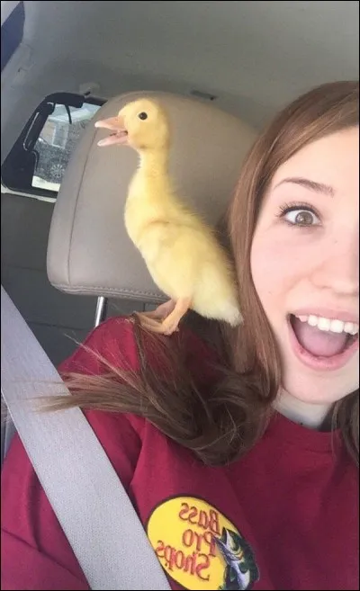 Find the title of a TV series