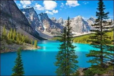 Which of these regional organizations is the most important in South America?