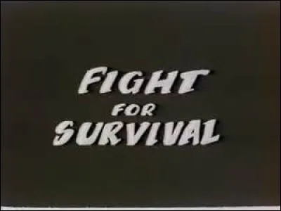 Clues : With a gift for survival, a sharply witty tongue, and a boy named after a tree, my protagonist will never lose.What am I?