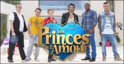On which channel is the reality show Les Princes de l'amour broadcast?
