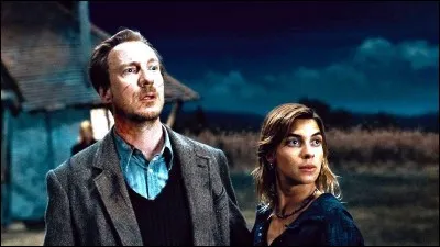 Tonks is a Metamorphomage, Remus is a...