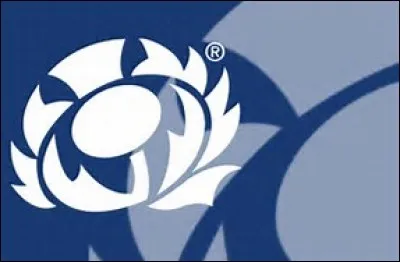 Which national rugby team does this logo belong to?