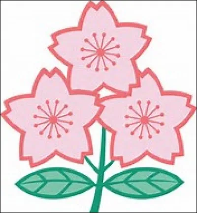 Which country's rugby team does this logo belong to?
