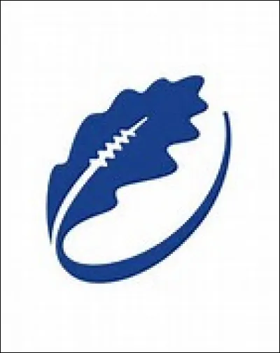Which national rugby team does this logo belong to?