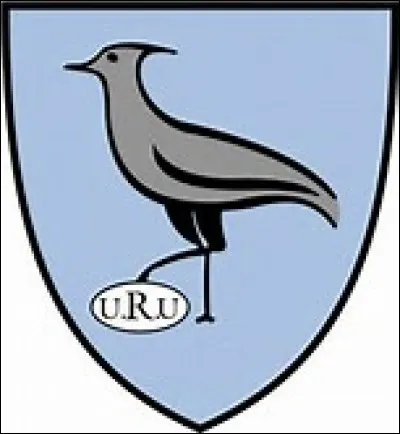 Which country's rugby team does this logo belong to?