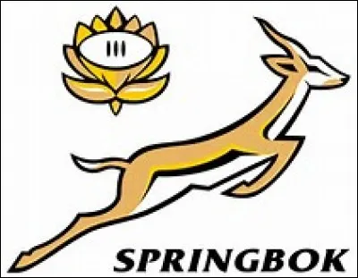 Which national rugby team does this logo belong to?