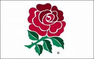 Which national rugby team does this logo belong to?