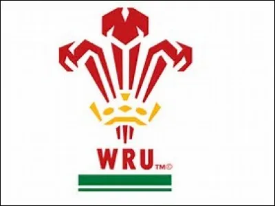 Which country's rugby team does this logo belong to?