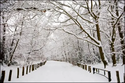 All living organisms have sensitivity. Imagine you are out in the cold, what is the best reaction to the cold?