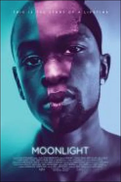 "Moonlight," which has been nominated for an astounding eight Oscars, is based on a play called :