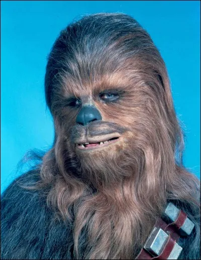 Chewbacca is a :