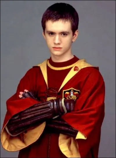 Who is this character and what Gryffindor quidditch position does he hold?