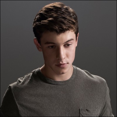 What is Shawn Mendes' first song, and what did it rank on the charts?