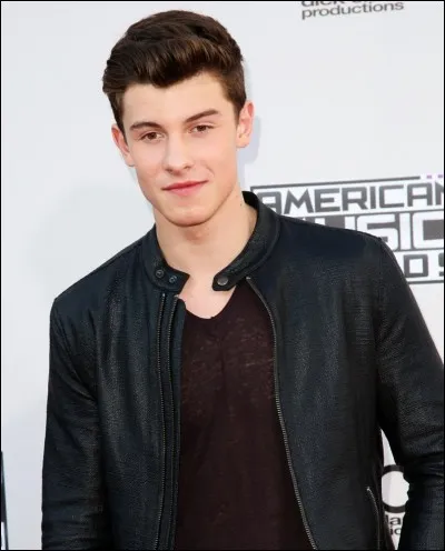 Why does Shawn have a scar on his cheek?