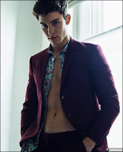 What is Shawn's model name?