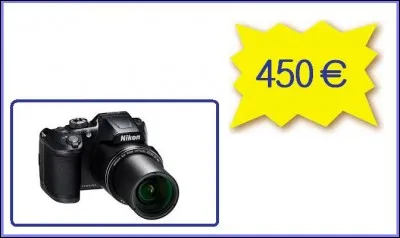 This Nikon camera: 450.00