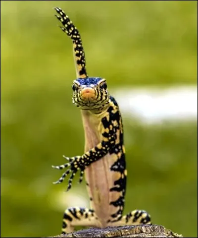 Relaxing popular expression!