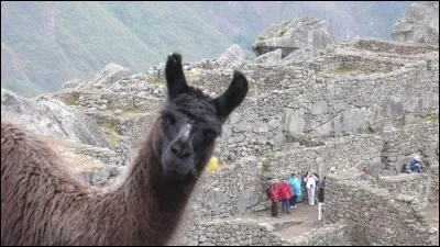 Use the photo to find the right place!