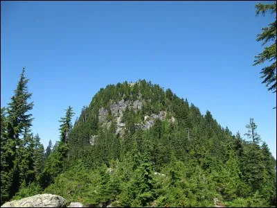 The highest mountain in in continental Spain is :