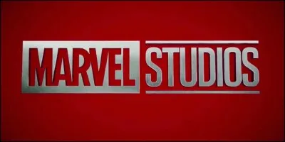 Who has done a cameo in each of the MCU films?
