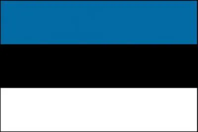 To which country does this flag belong?