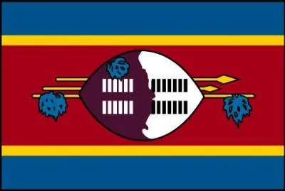 To which country does this flag belong?